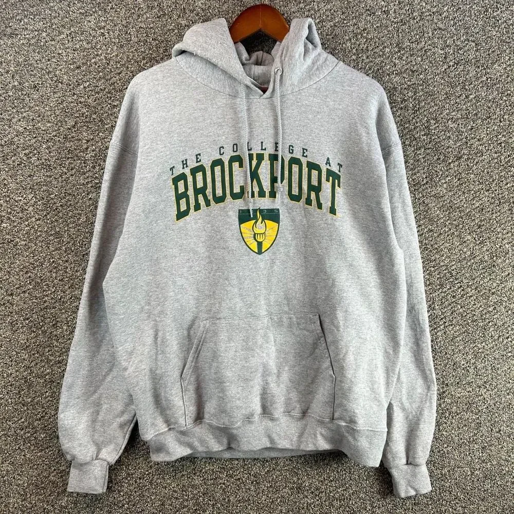 Champion Men's Grey Hoodie - Picture 1 of 5
